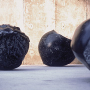 Detail of Black Seeds by John Greer