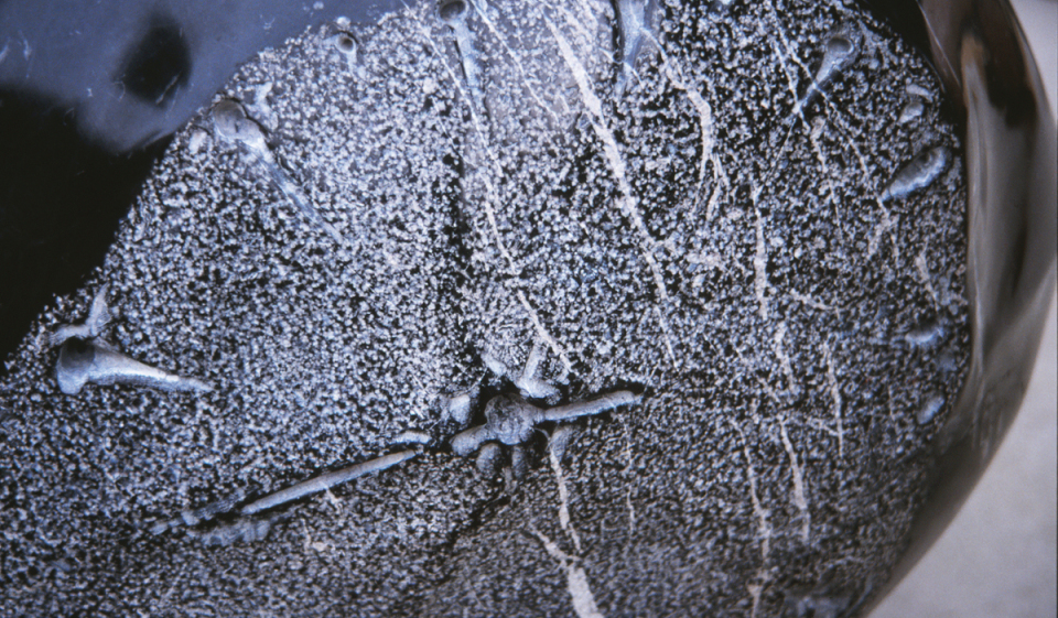 Detail of Black Seeds by John Greer.